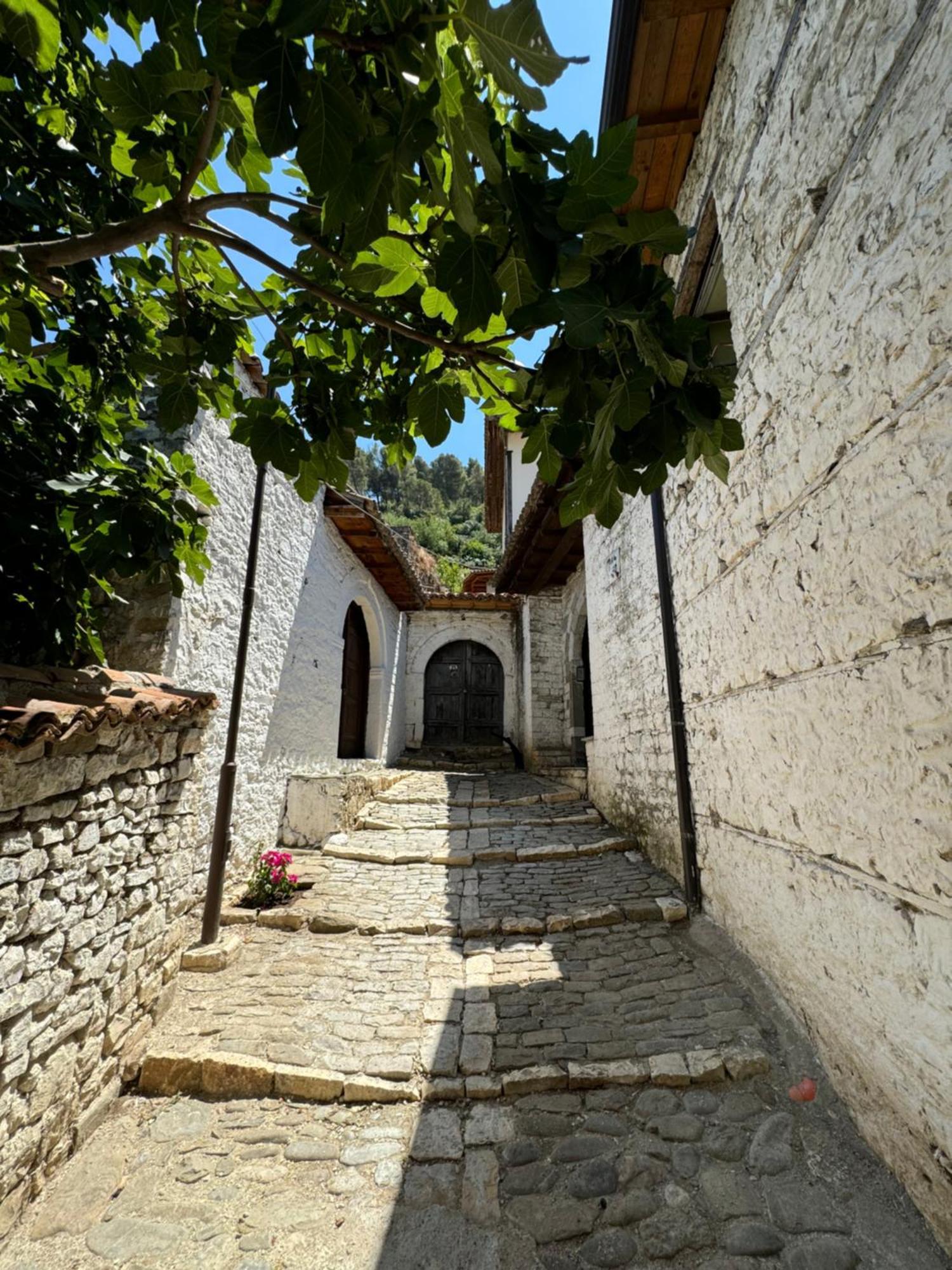 Meroli Guesthouse - Unesco Quarter بيرات المظهر الخارجي الصورة